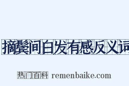 摘鬓间白发有感反义词是什么意思的图片